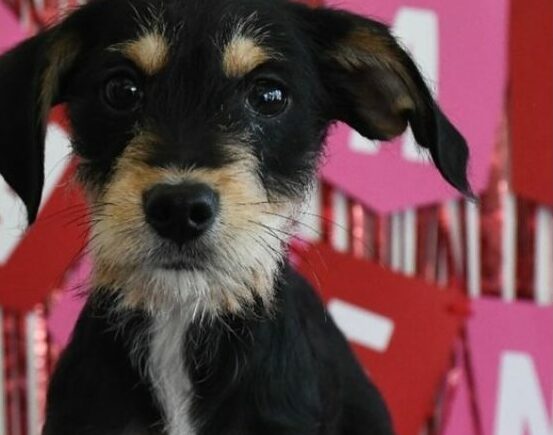 Garritas a la Obra: Jueves 5 de Marzo