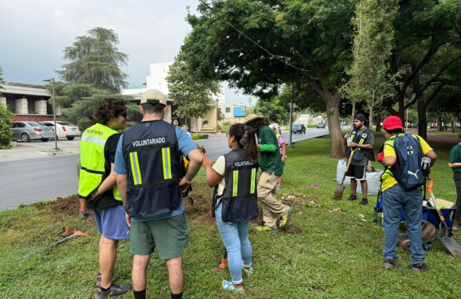 Jornada de Reforestación en la Primaria Lauro Aguirre