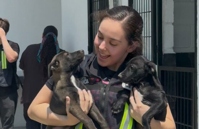 Garritas a la Obra: Jueves 19 de Marzo