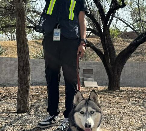 Garritas a la obra: Miércoles 11 de marzo