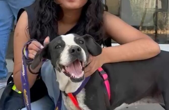 Garritas a la Obra: Jueves 12 de Marzo