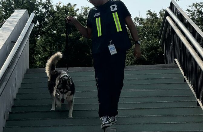 Garritas a la Obra: Viernes 13 de Marzo