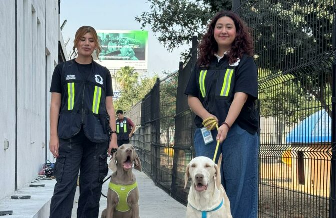 Garritas a la Obra: Sábado 20 de junio