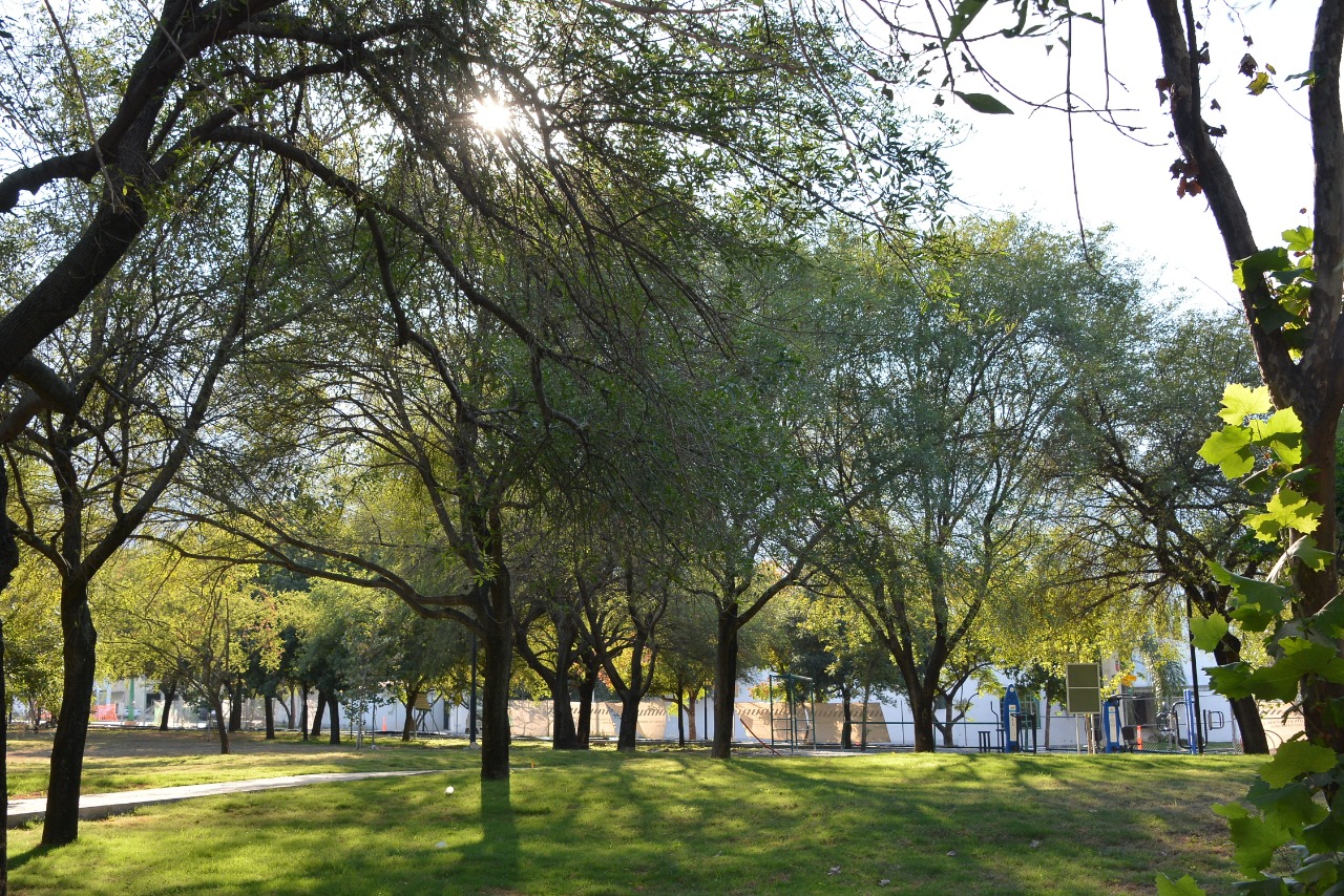 Avanza renovación de Parque Bosques