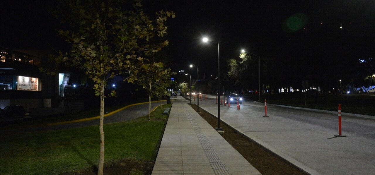 Aceleran plantación de árboles en Las Nuevas Calzadas