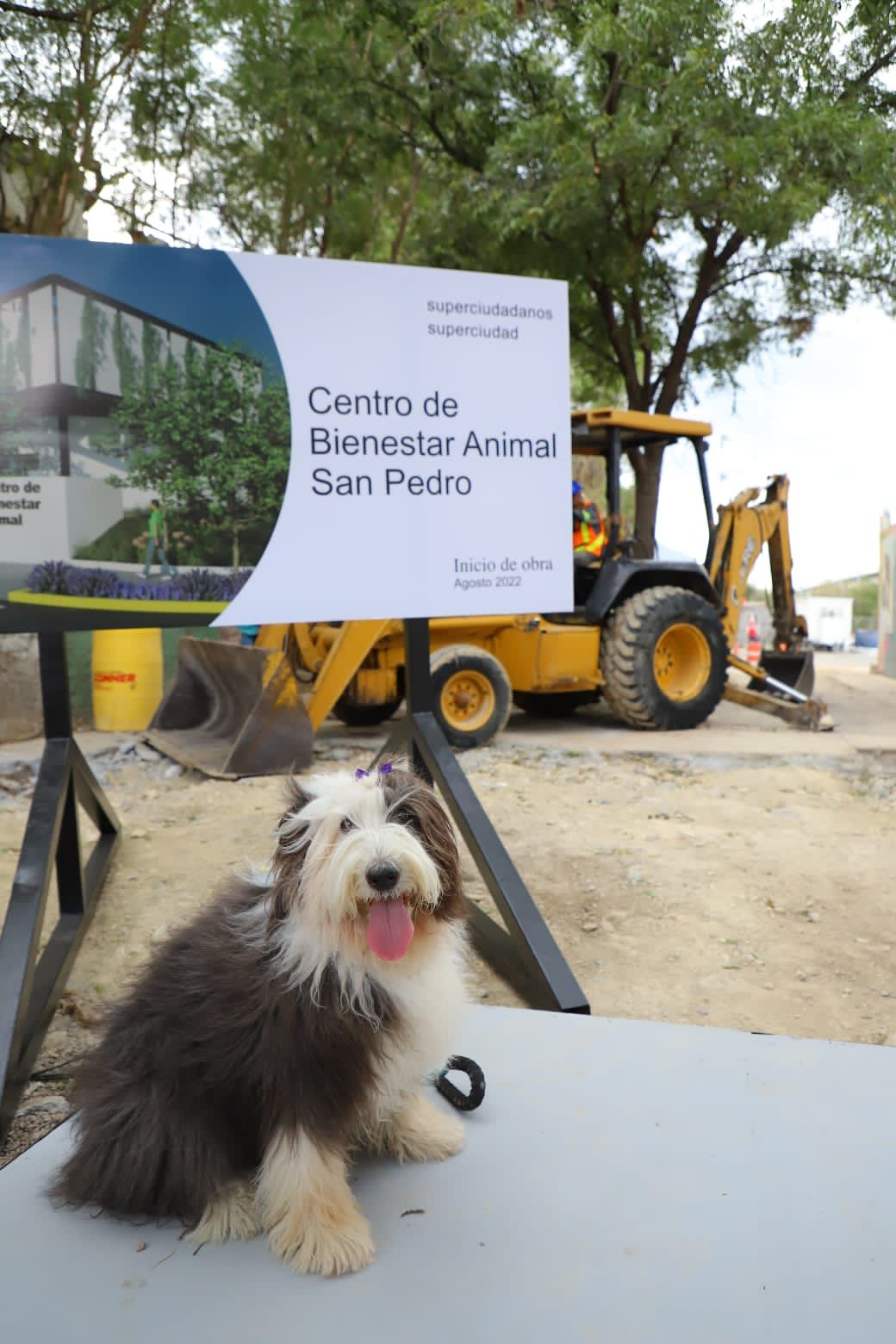 Arranca San Pedro obras del nuevo Centro de Bienestar Animal San Pedro Garza García
