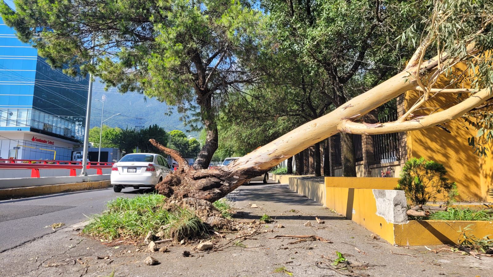 Deja lluvia daños en San Pedro