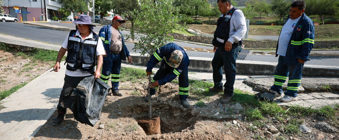 Reforesta San Pedro Parque La Retama en Vista Montaña