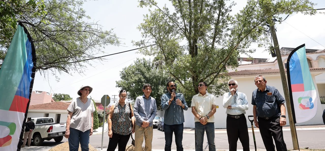 Siembra San Pedro los encinos más grandes del programa Gigantes Verdes